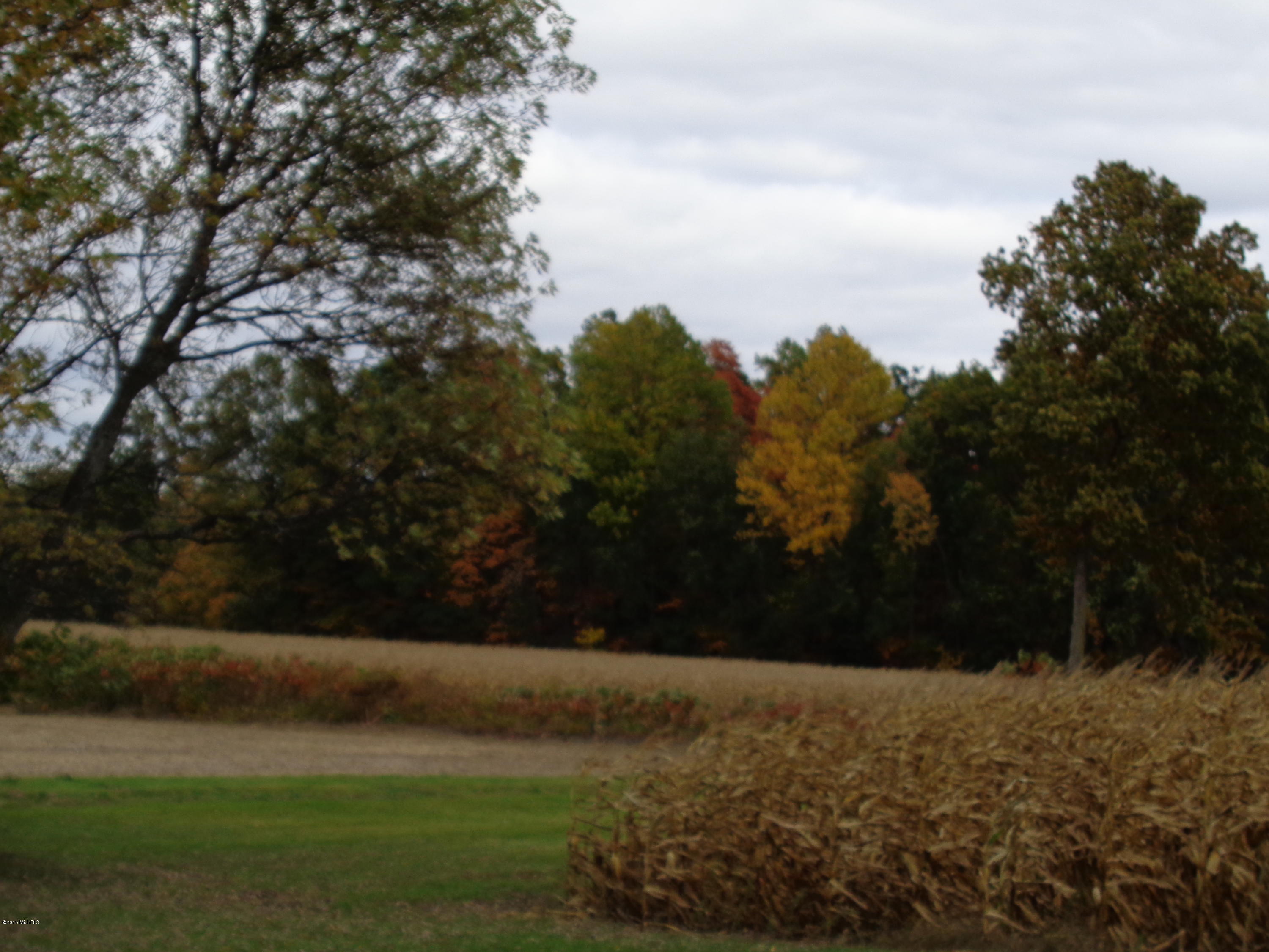 7342 Sells Road Eau Claire, MI 49111 - Photo 9 of 23 DSC00227