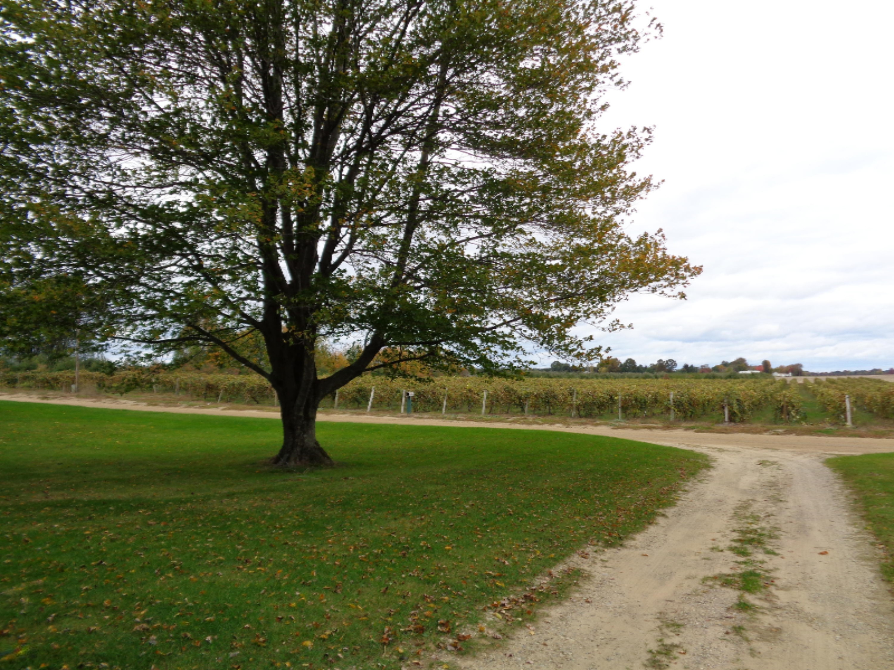 7342 Sells Road Eau Claire, MI 49111 - Photo 10 of 23 DSC00229
