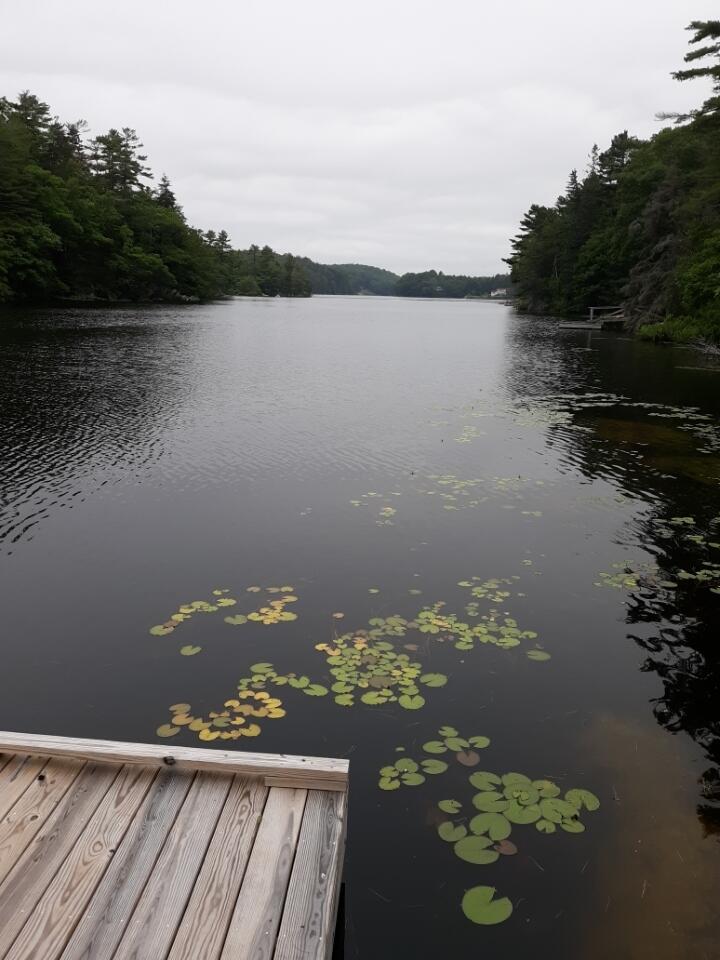 3 West Harbor Pond Road, Unit 3 West Boothbay Harbor, ME 04575 - Photo 18 of 19 WHP view 2