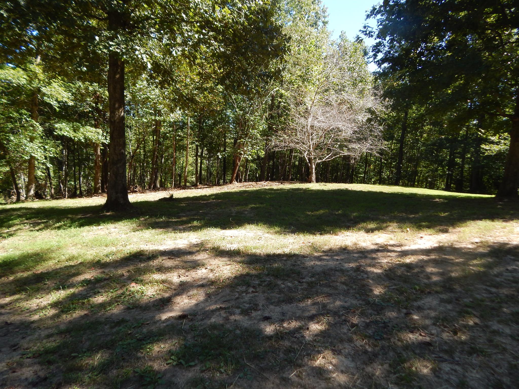 232 East Piney Road Dickson, TN 37055 - Photo 8 of 30 a view of a yard