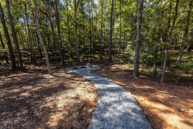 a view of a field with trees in the background