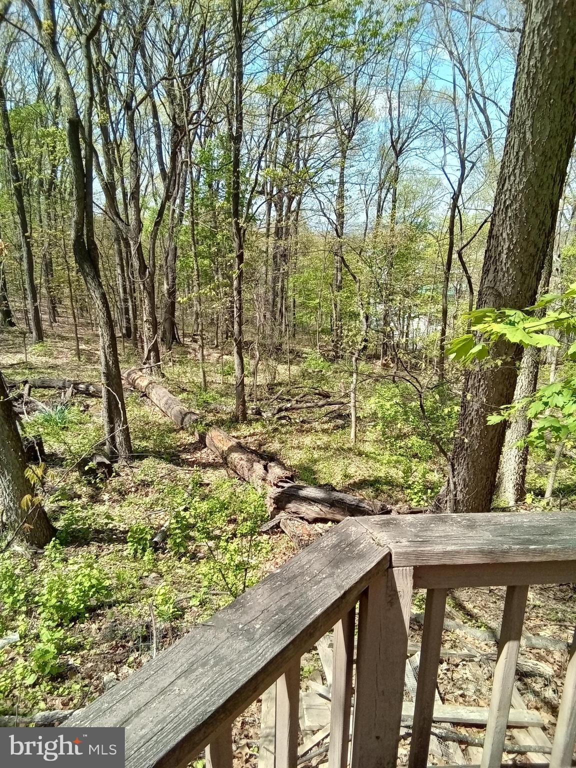 7120 Chambers Hill Road Harrisburg, PA 17111 - Photo 15 of 16 Gallery Image 15