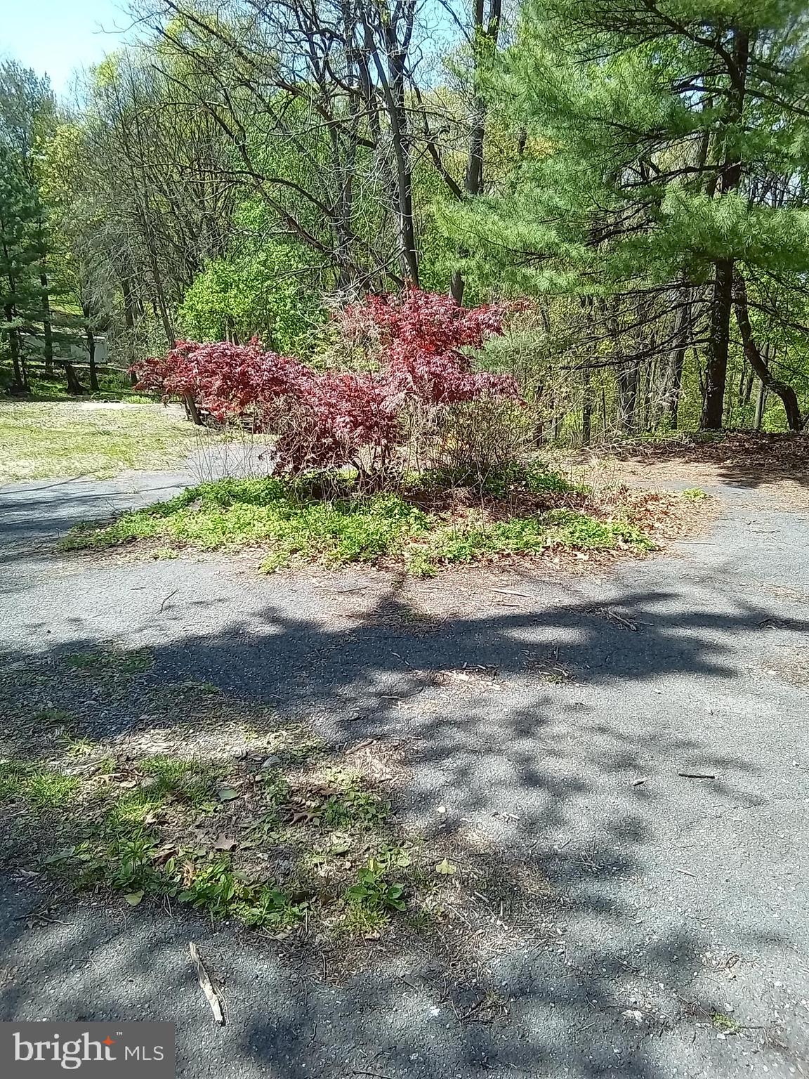 7120 Chambers Hill Road Harrisburg, PA 17111 - Photo 7 of 16 Gallery Image 7