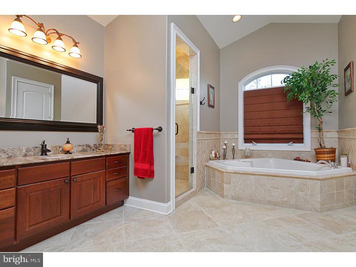 850 Cymbeline Court Mickleton, NJ 08056 - Photo 17 of 25 Master Bathroom