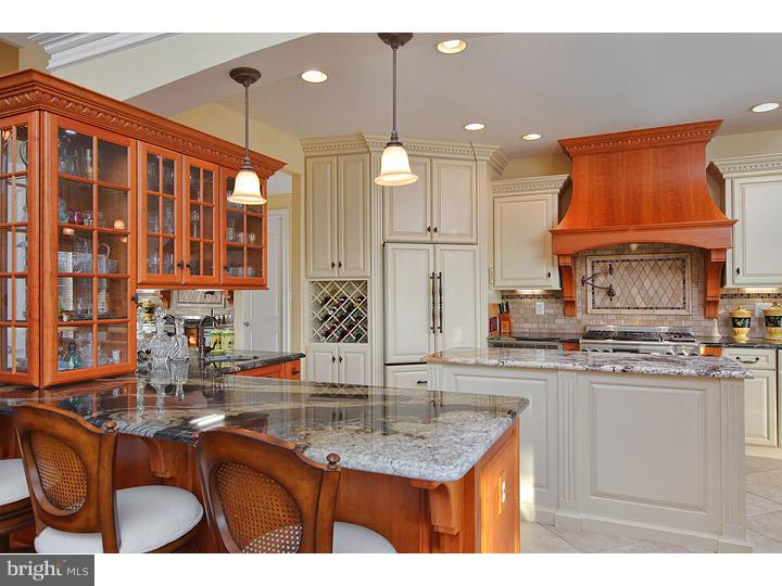 850 Cymbeline Court Mickleton, NJ 08056 - Photo 8 of 25 Kitchen