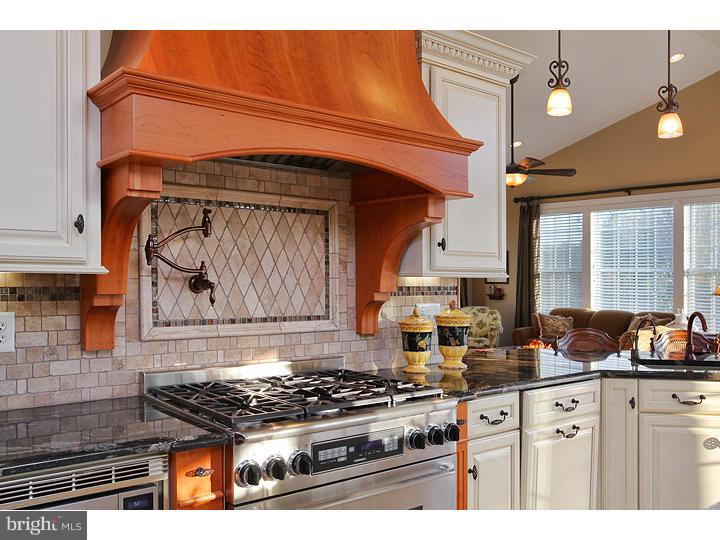 850 Cymbeline Court Mickleton, NJ 08056 - Photo 9 of 25 Kitchen