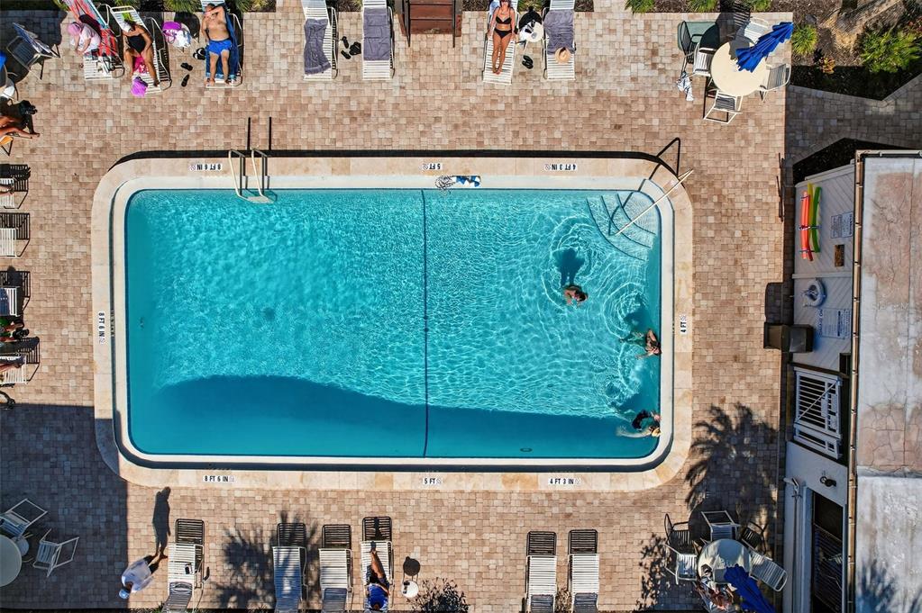 1632 Stickney Point Road, Unit 201 Sarasota, FL 34231 - Photo 32 of 43 an outdoor view of garden