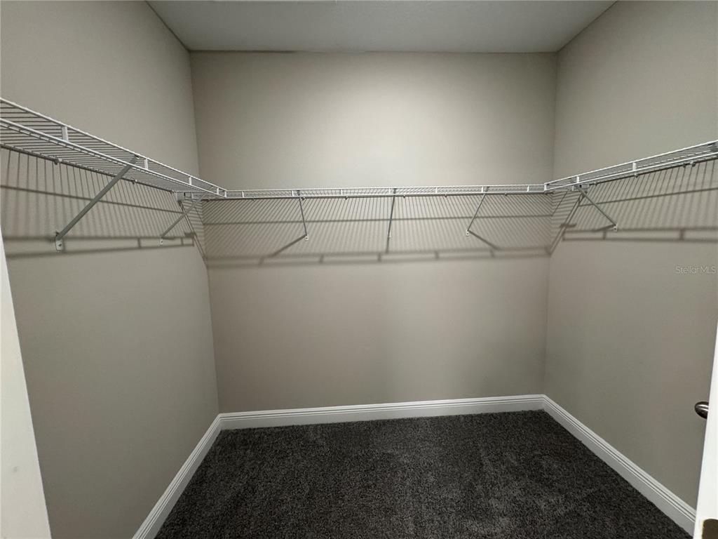 16434 Hamlin Hills Road Winter Garden, FL 34787 - Photo 28 of 50 a view of a room with racks on the wall