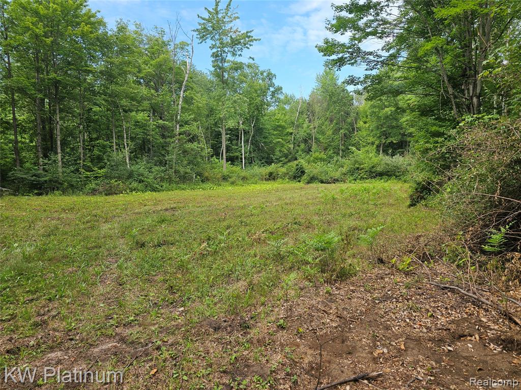 0 Ravenswood Road Smiths Creek, MI 48074 - Photo 4 of 9