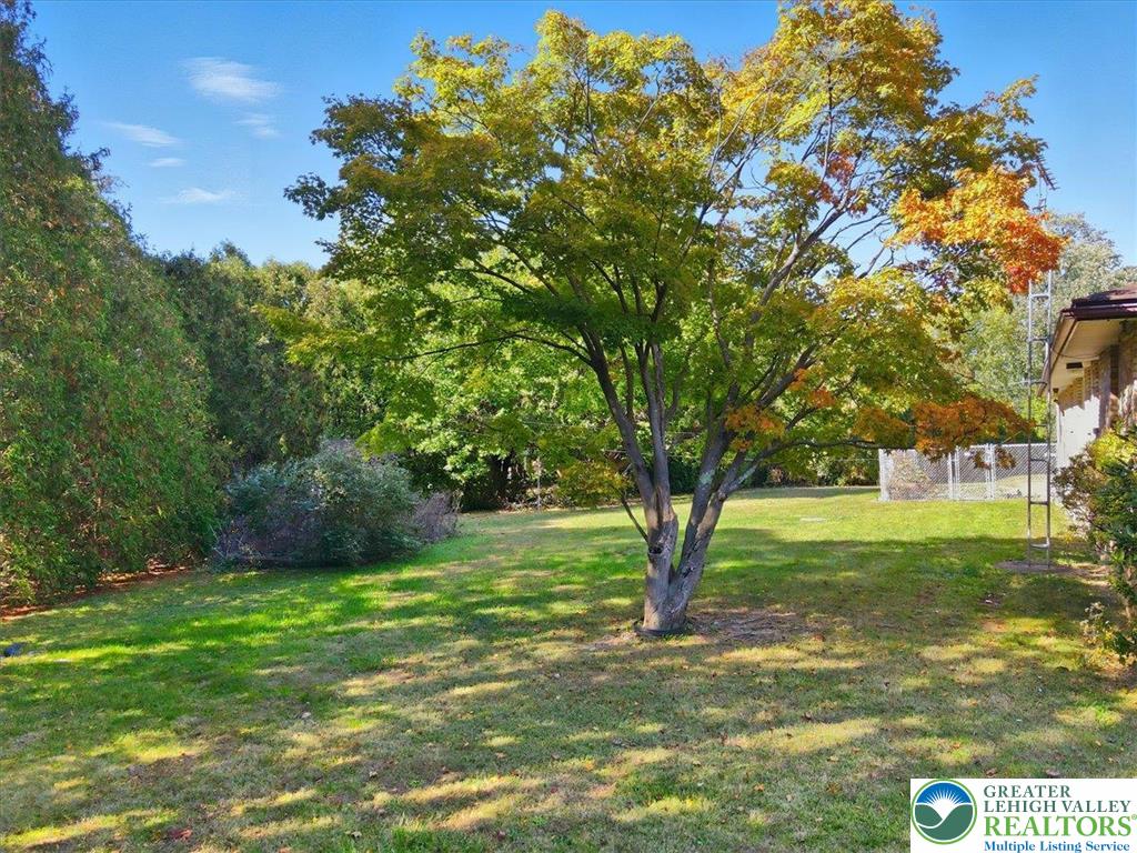 4395 East Texas Road Allentown, PA 18103 - Photo 61 of 81 a view of a trees with a yard