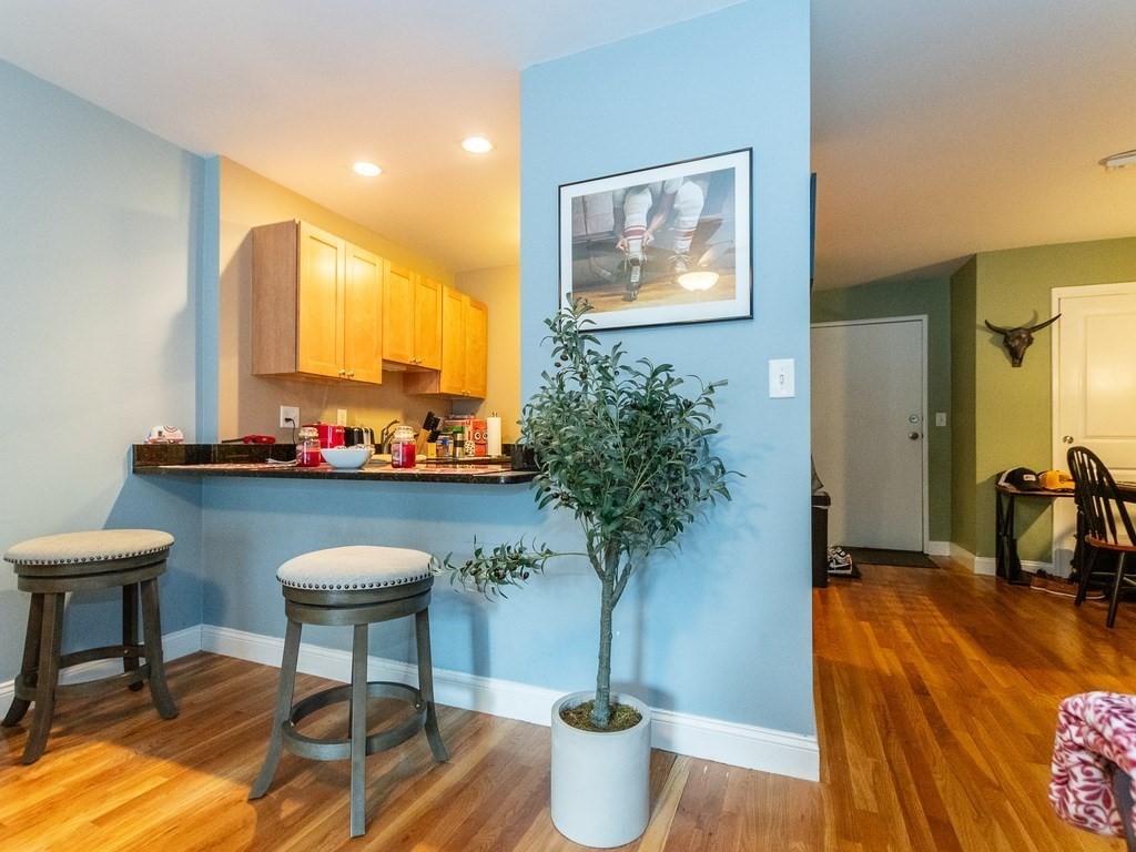 48 Coffey Street, Unit 5B Boston, MA 02122 - Photo 5 of 31 a living room with furniture and a potted plant