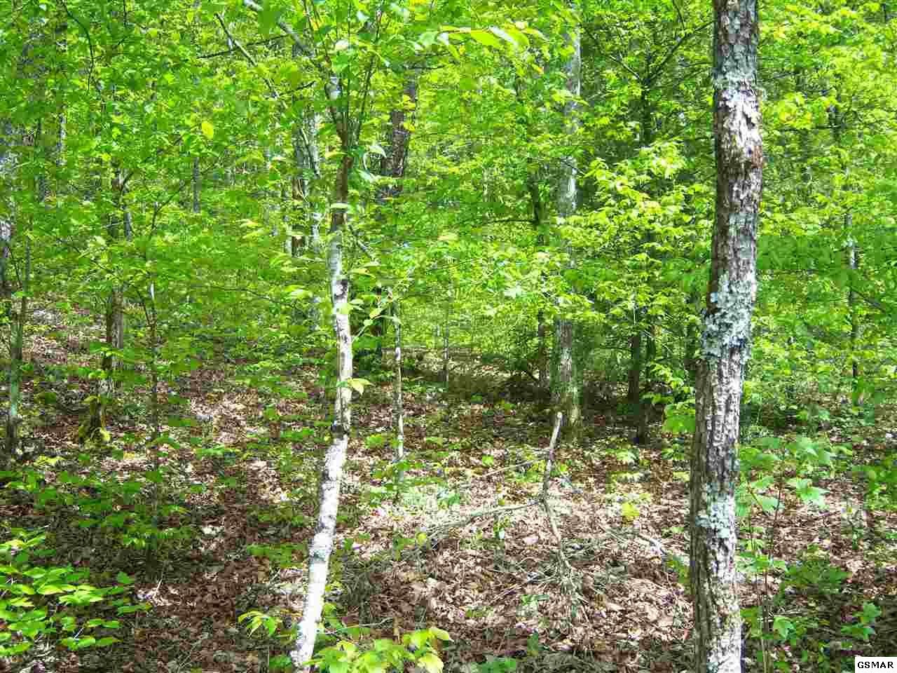2 Pine Mountain Road Pigeon Forge, TN 37863 - Photo 12 of 12 Gallery Image 12