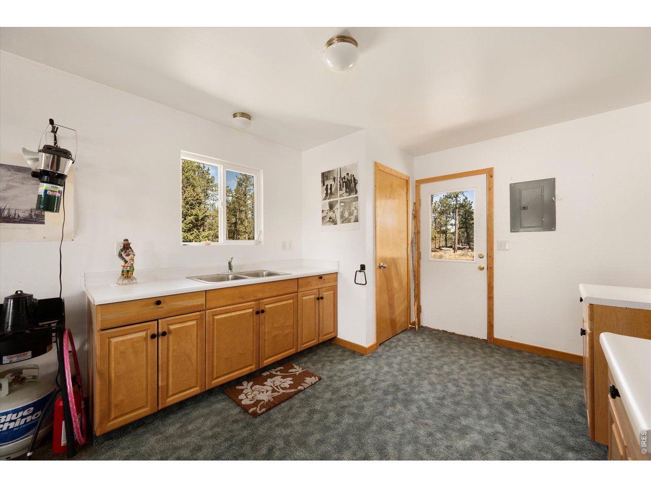 255 Elk Park Road Livermore, CO 80536 - Photo 13 of 43 Plenty of cabinets