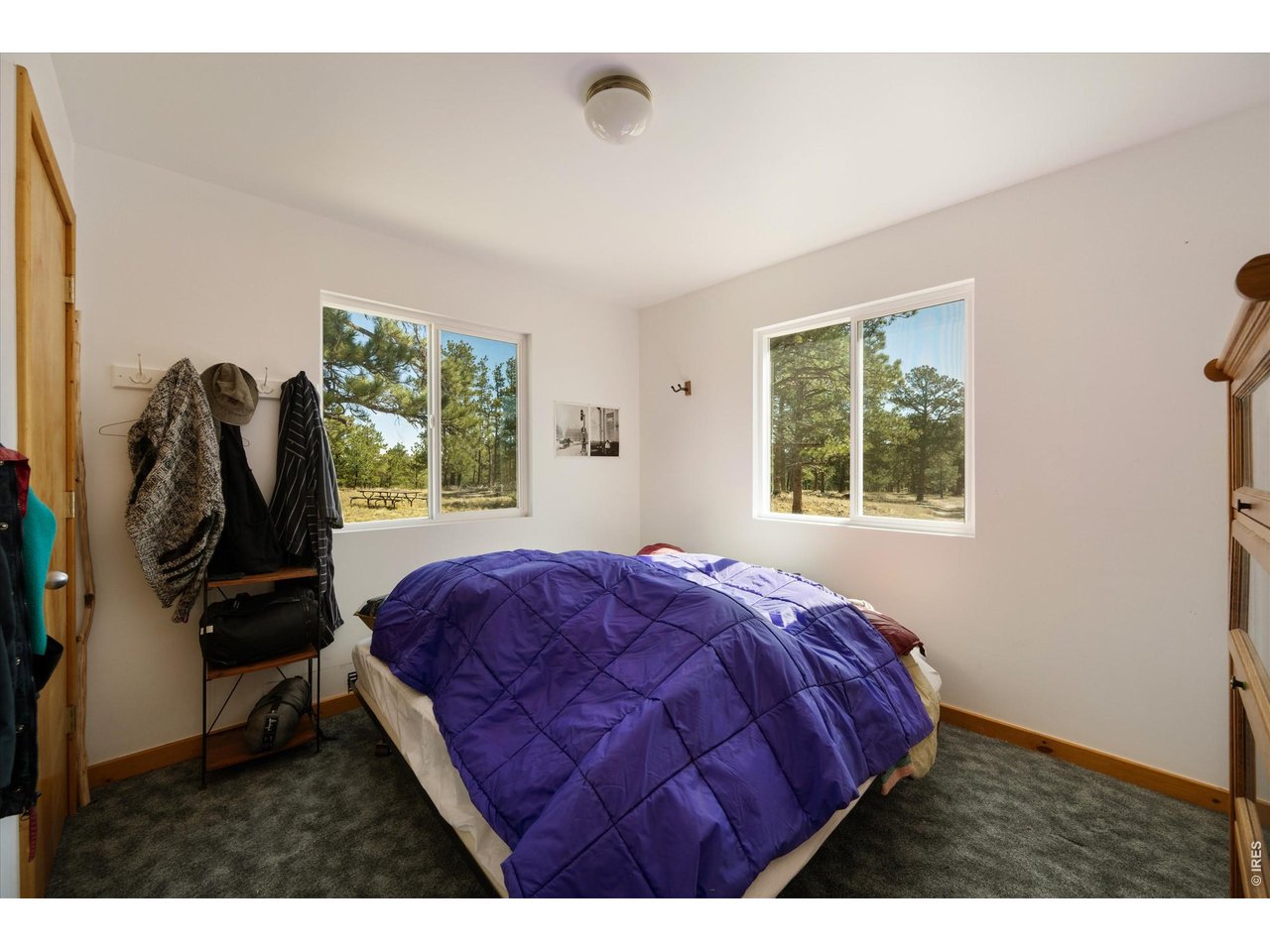255 Elk Park Road Livermore, CO 80536 - Photo 18 of 43 Main floor bedroom
