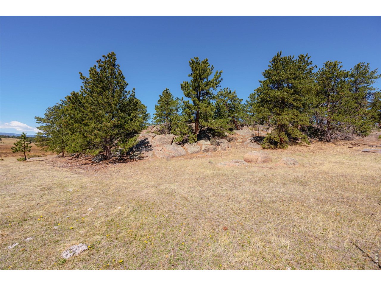 255 Elk Park Road Livermore, CO 80536 - Photo 35 of 43