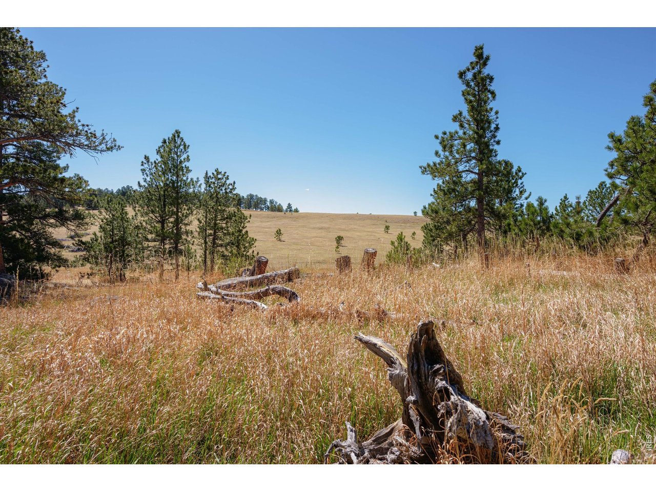 255 Elk Park Road Livermore, CO 80536 - Photo 40 of 43 Come listen to the music of the wind
