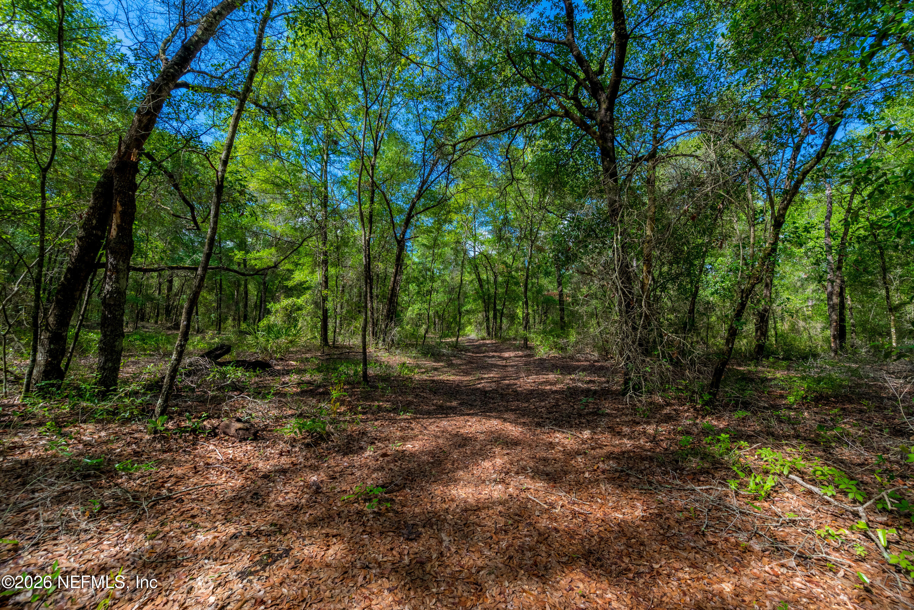 Tbd Lot 4 Southeast Tbd Loop Keystone Heights, FL 32656 - Photo 6 of 17 SE 46th Loop Parcels-1