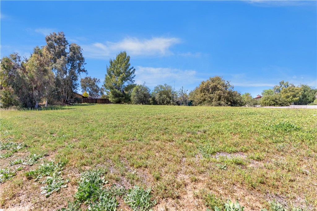 24585 Adams Avenue Murrieta, CA 92562 - Photo 22 of 29 a view of a field with an trees in the background