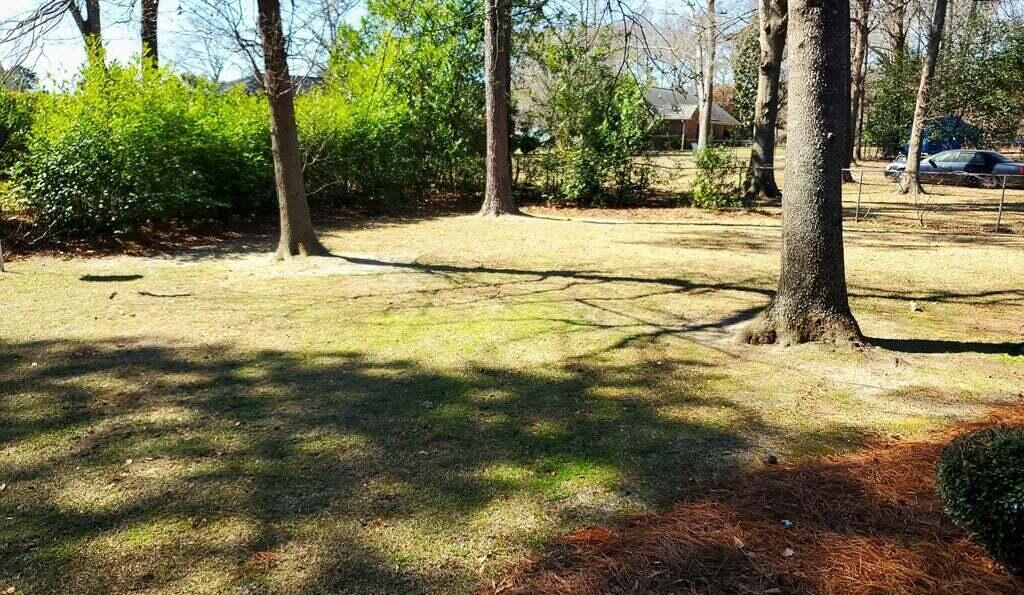 1450 Morris Way Drive Sumter, SC 29154 - Photo 65 of 68 26
