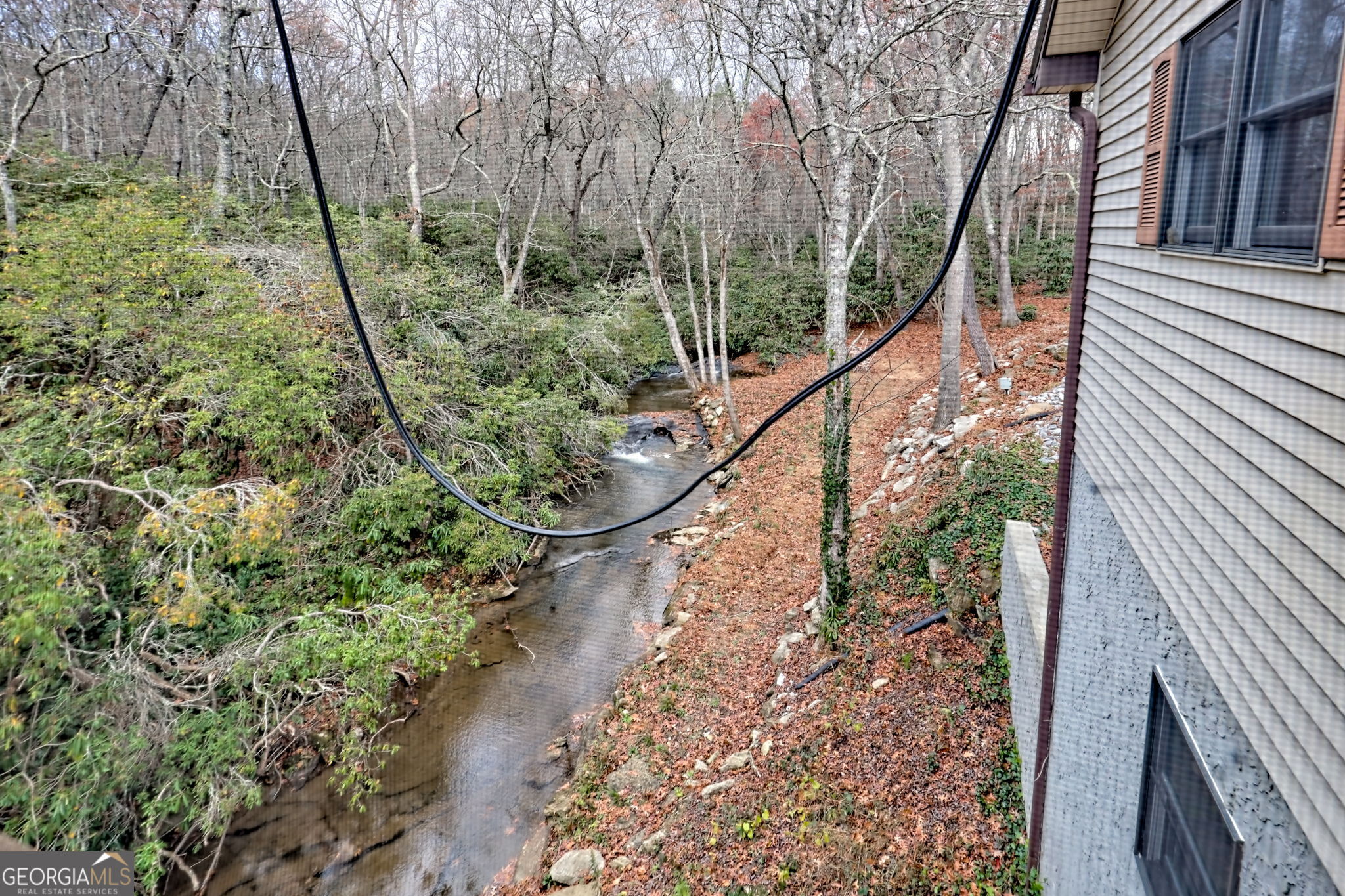 7829 Dillard Road Scaly Mountain, NC 28775 - Photo 23 of 97