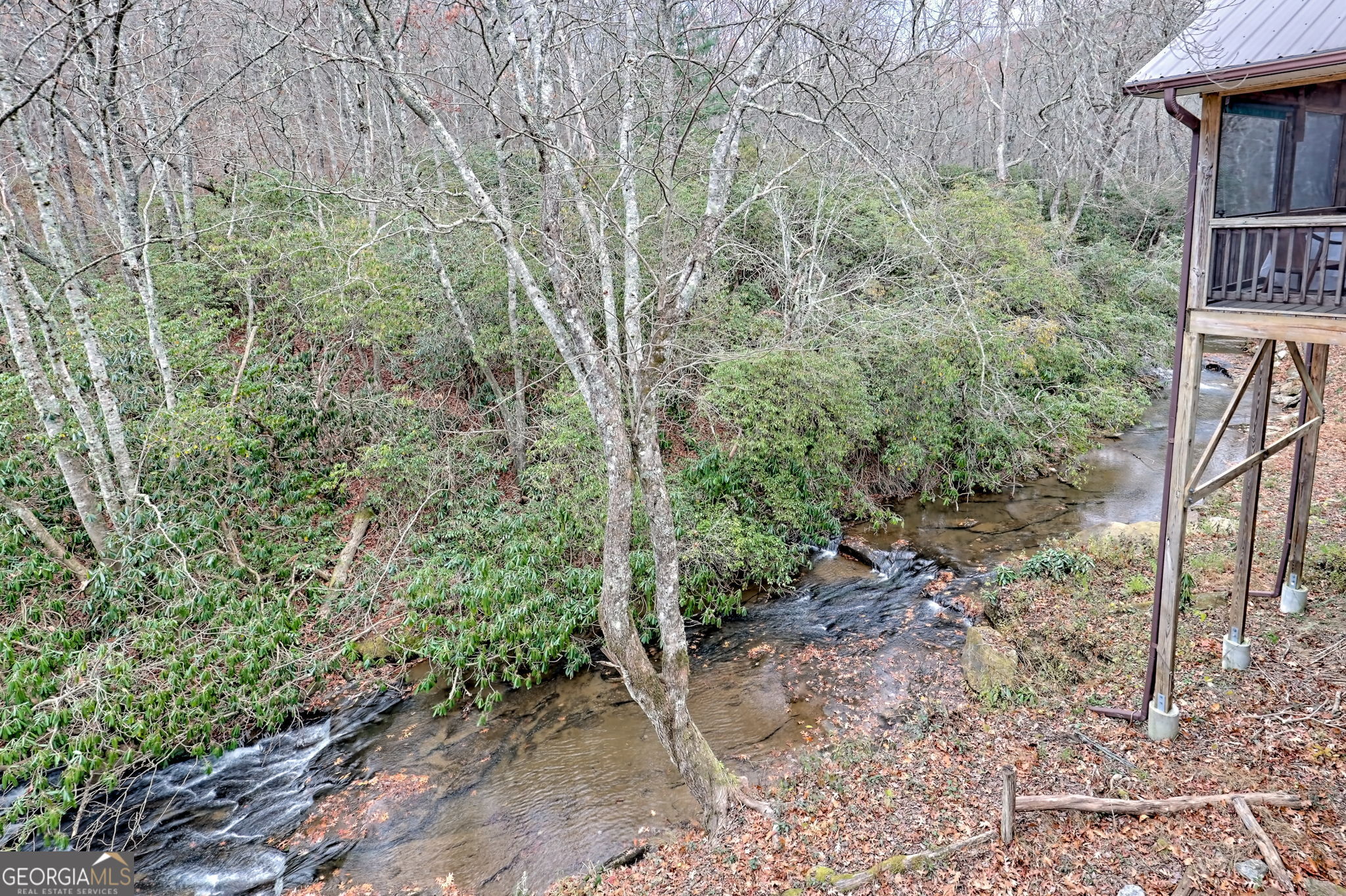 7829 Dillard Road Scaly Mountain, NC 28775 - Photo 41 of 97 a view of a forest filled with trees
