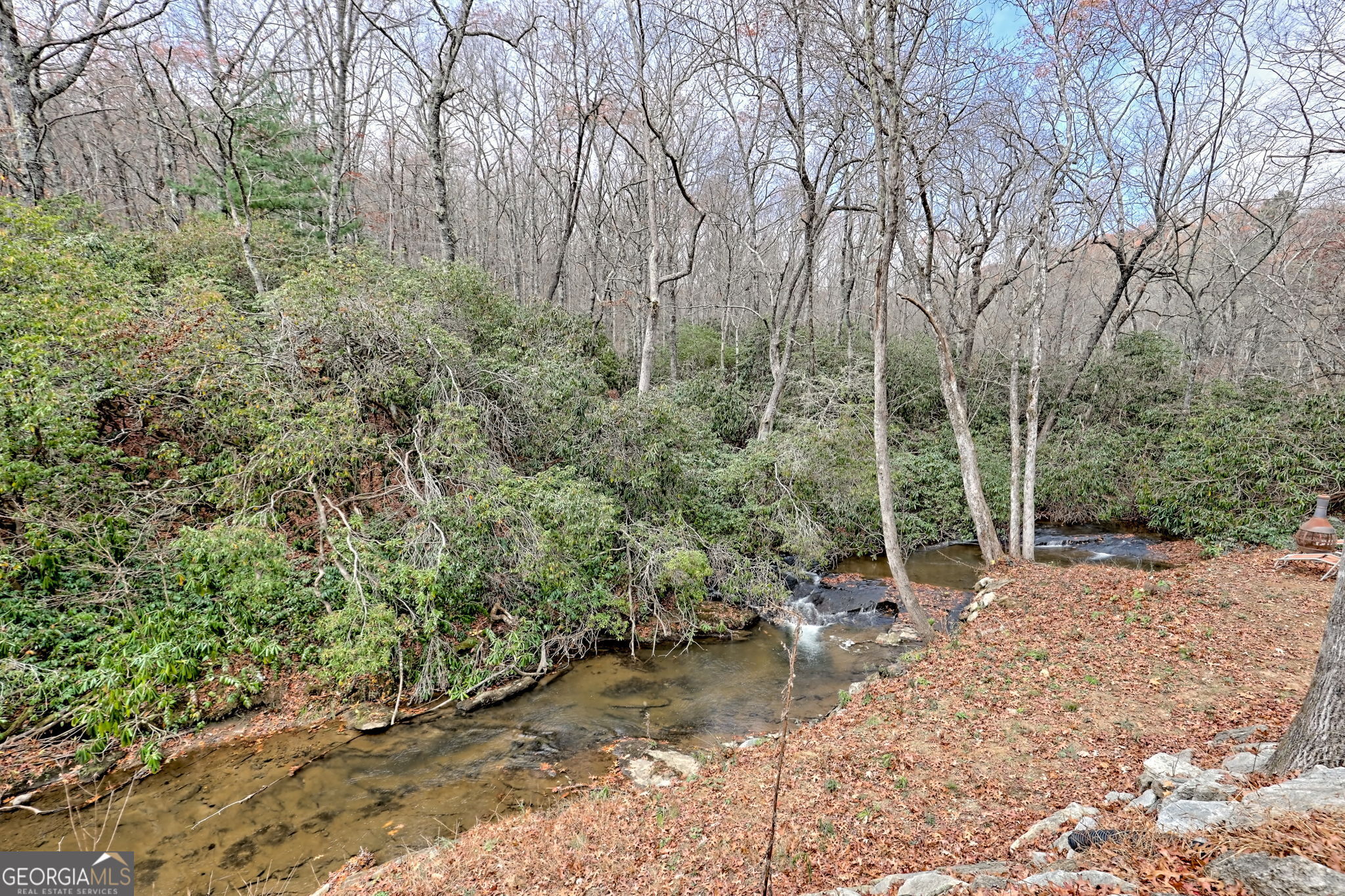 7829 Dillard Road Scaly Mountain, NC 28775 - Photo 55 of 97 a view of a forest with trees