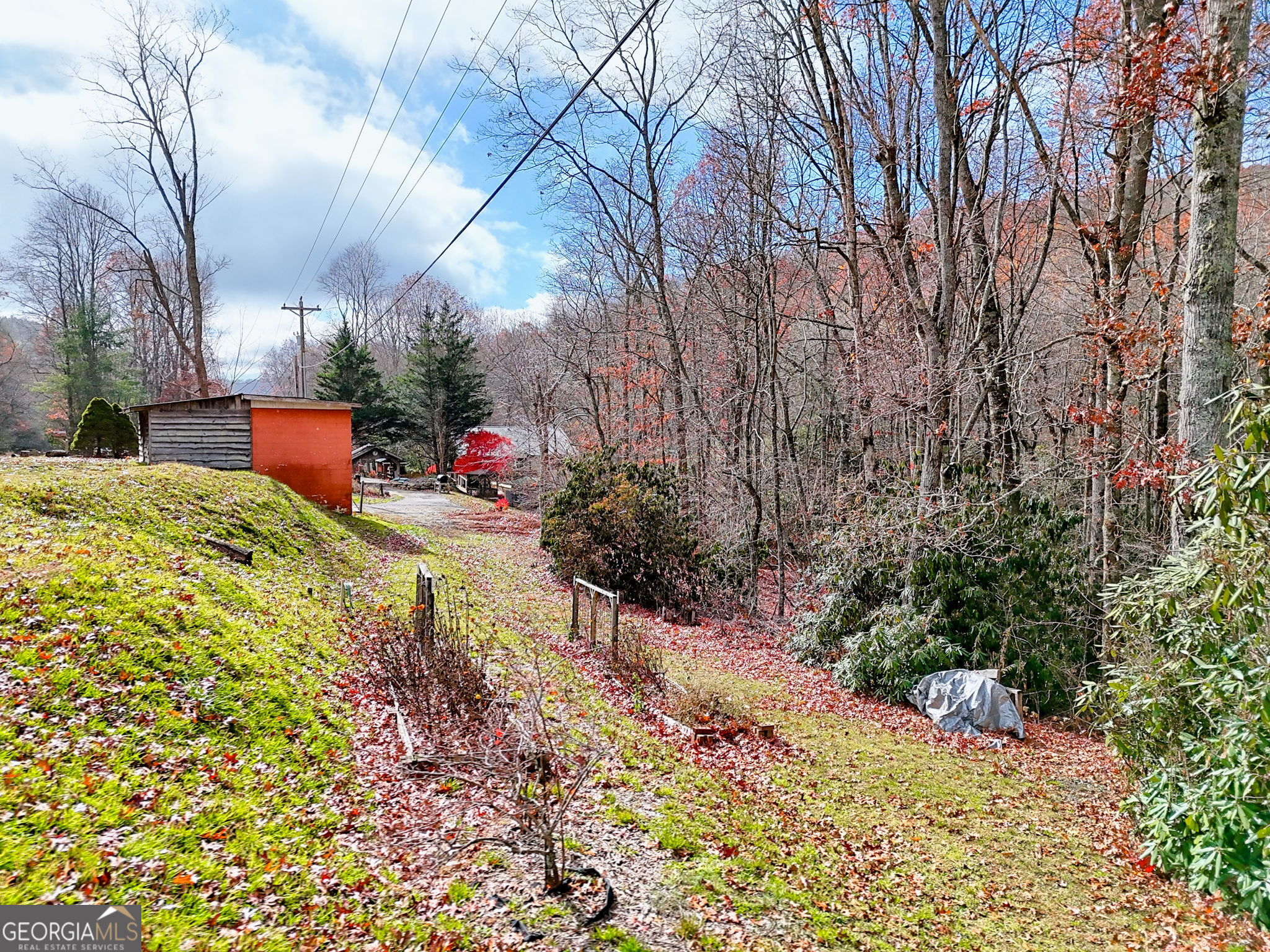 7829 Dillard Road Scaly Mountain, NC 28775 - Photo 94 of 97 a view of a backyard of the house