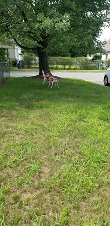 43 Sargon Street Springfield, MA 01104 - Photo 2 of 25 a view of a field with grass and trees