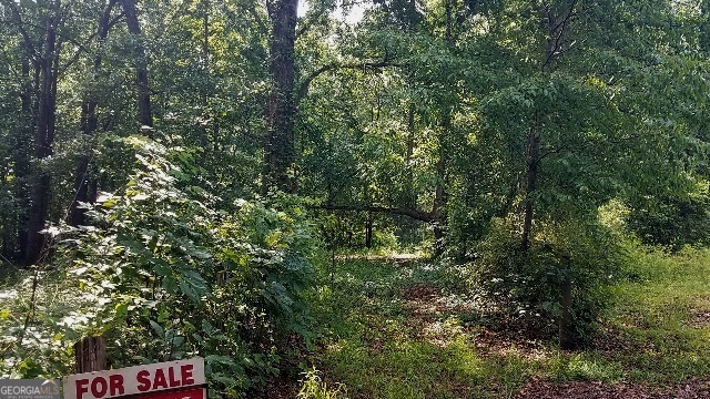 2411 Kesler Road Carnesville, GA 30521 - Photo 3 of 11