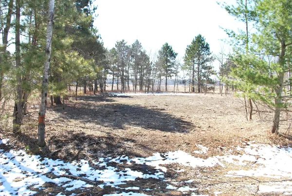 $9,000 | Tbd Pacer Drive, Browerville, MN 56438