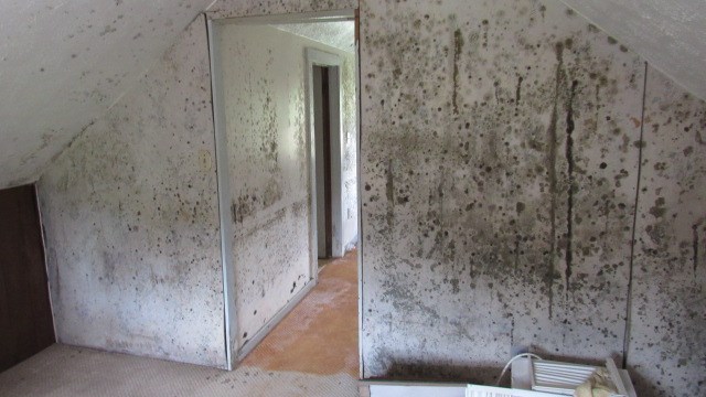 77 Leech Road Greenville, PA 16125 - Photo 39 of 40 Gallery Image 39