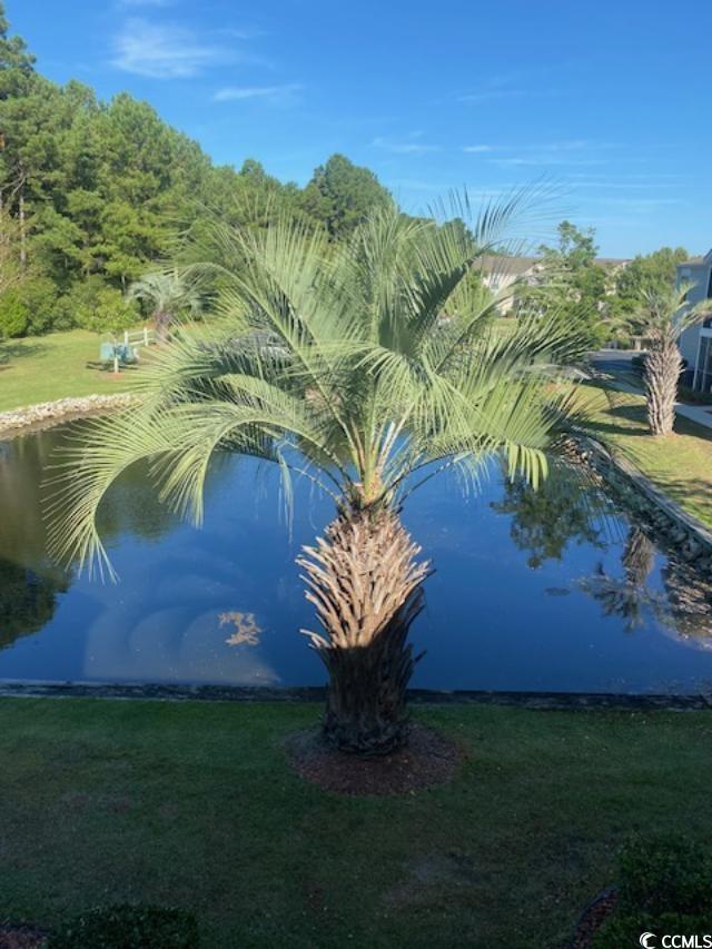 8925 Duckview Drive, Unit H Surfside Beach, SC 29575 - Photo 13 of 15