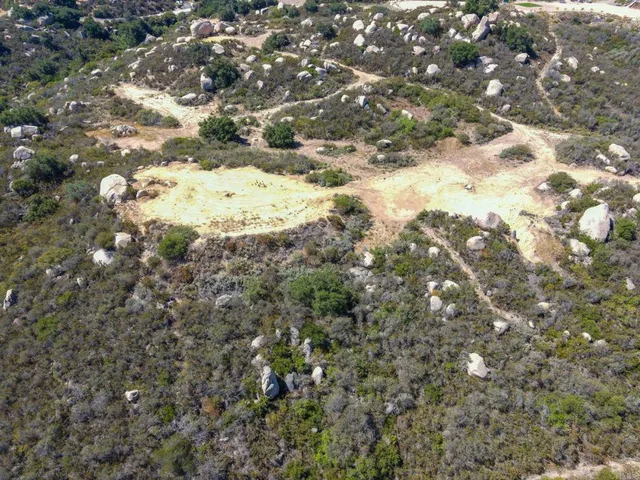 a view of a yard with plants and tree