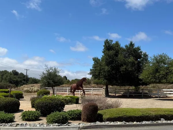 a view of a yard