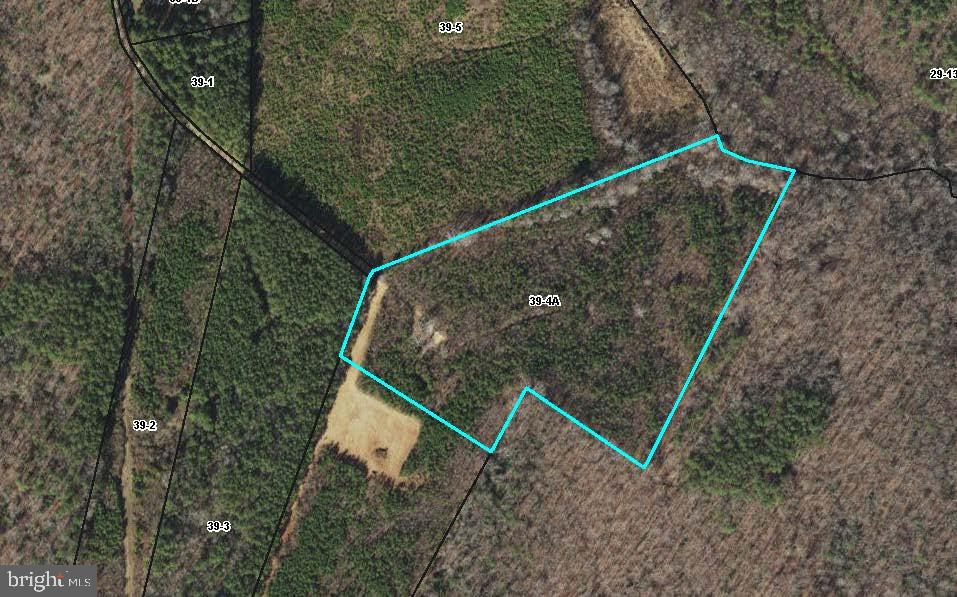 684 Squirrel Hollow Road Alberta, VA 23821 - Photo 3 of 43 Secluded wooded lot with potential.