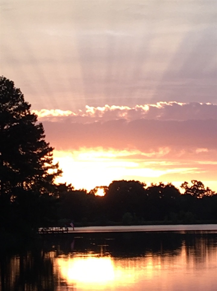 626 Cedar Hill Road Flora, MS 39071 - Photo 35 of 36 Photo 35