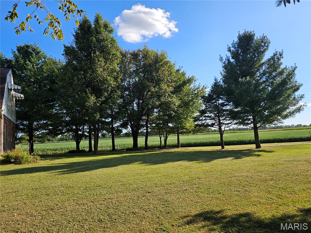 1050 Maple Grove Avenue Greenville, IL 62246 - Photo 22 of 55