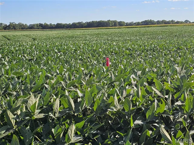 $349,000 | 1050 Maple Grove Avenue, Greenville, IL 62246