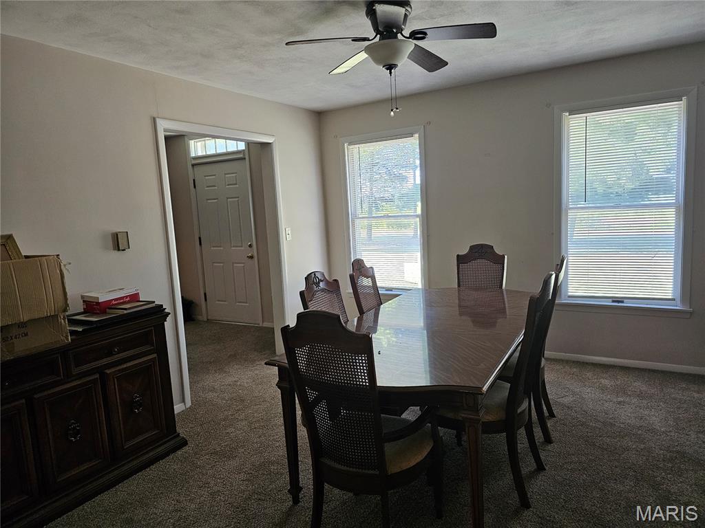 1050 Maple Grove Avenue Greenville, IL 62246 - Photo 50 of 55