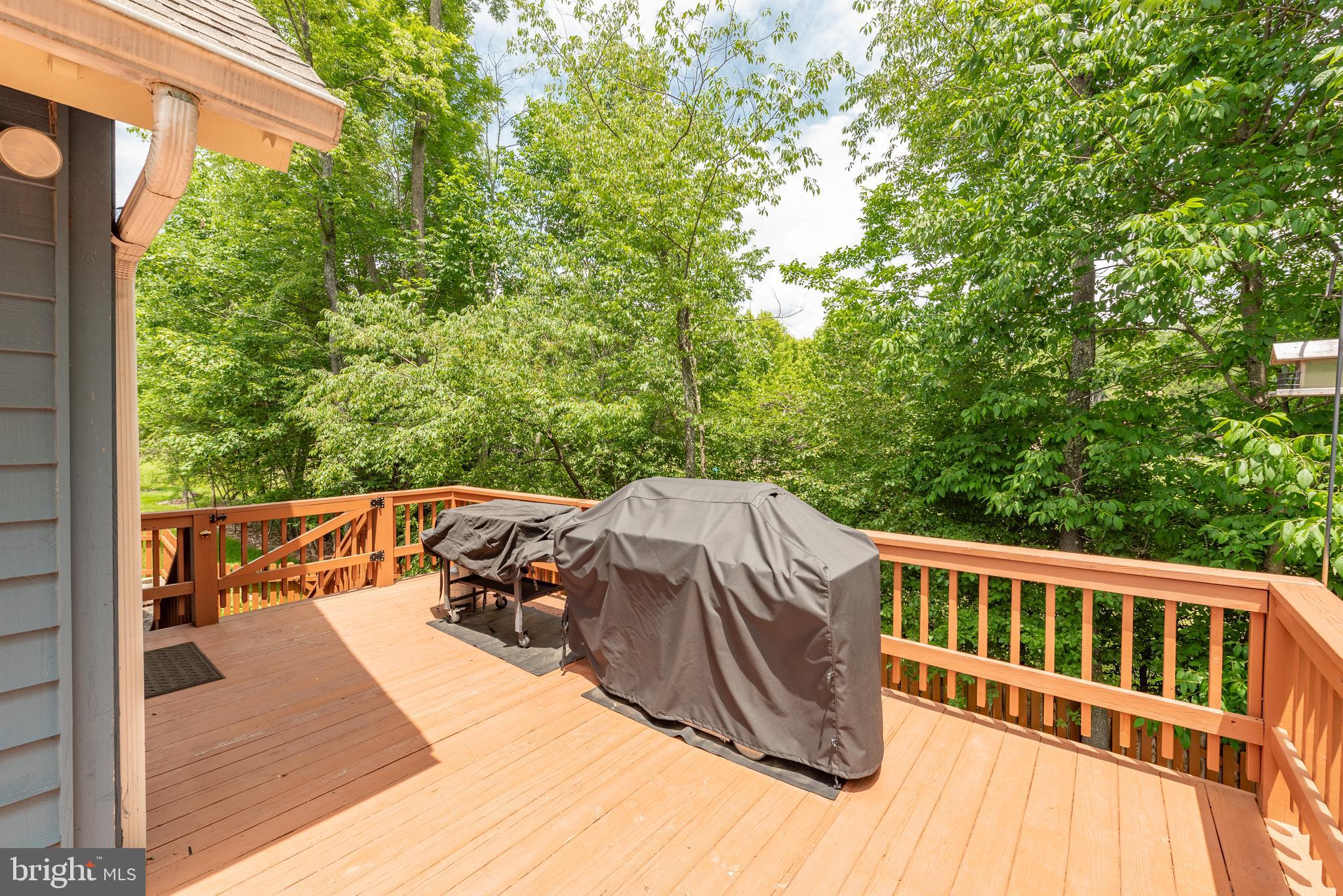 1738 Paradise Point Road Oakland, MD 21550 - Photo 84 of 97 Gallery Image 84