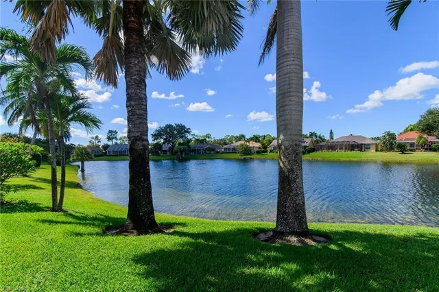 a view of a lake with a palm and palm trees