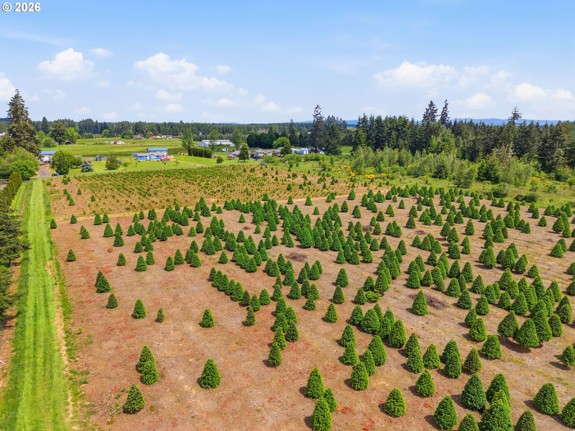 2 Shiloh Road Winlock, WA 98596 - Photo 5 of 16 a view of a city