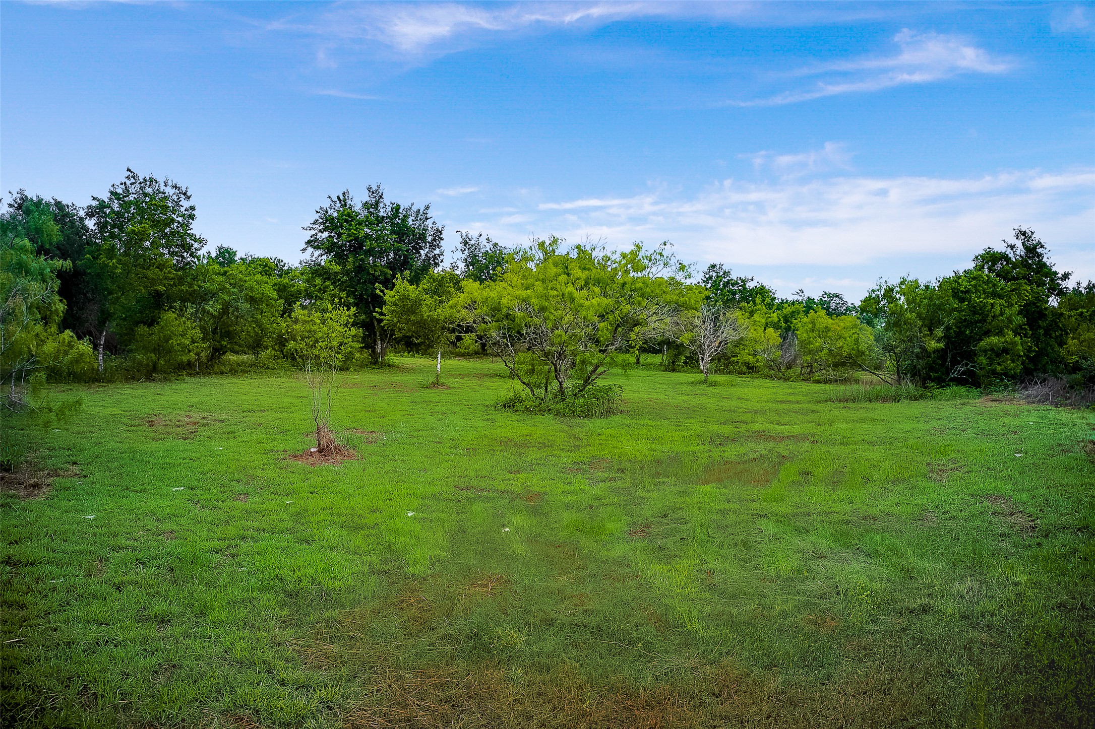 754 Williamson Road, Unit B Niederwald, TX 78640 - Photo 14 of 14 View of grassy yard