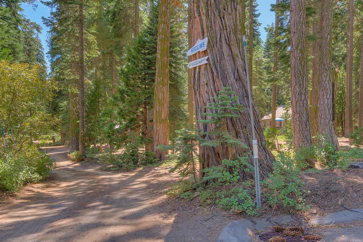 4715 Cedar Homewood, CA 96141 - Photo 2 of 25 a backyard of a house with lots of green space