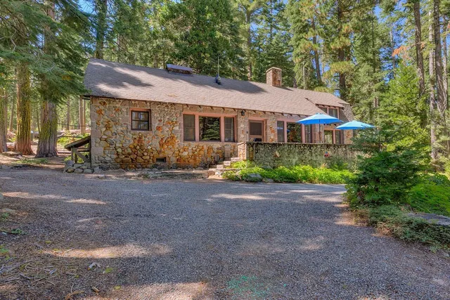 a backyard of a house with plants and trees