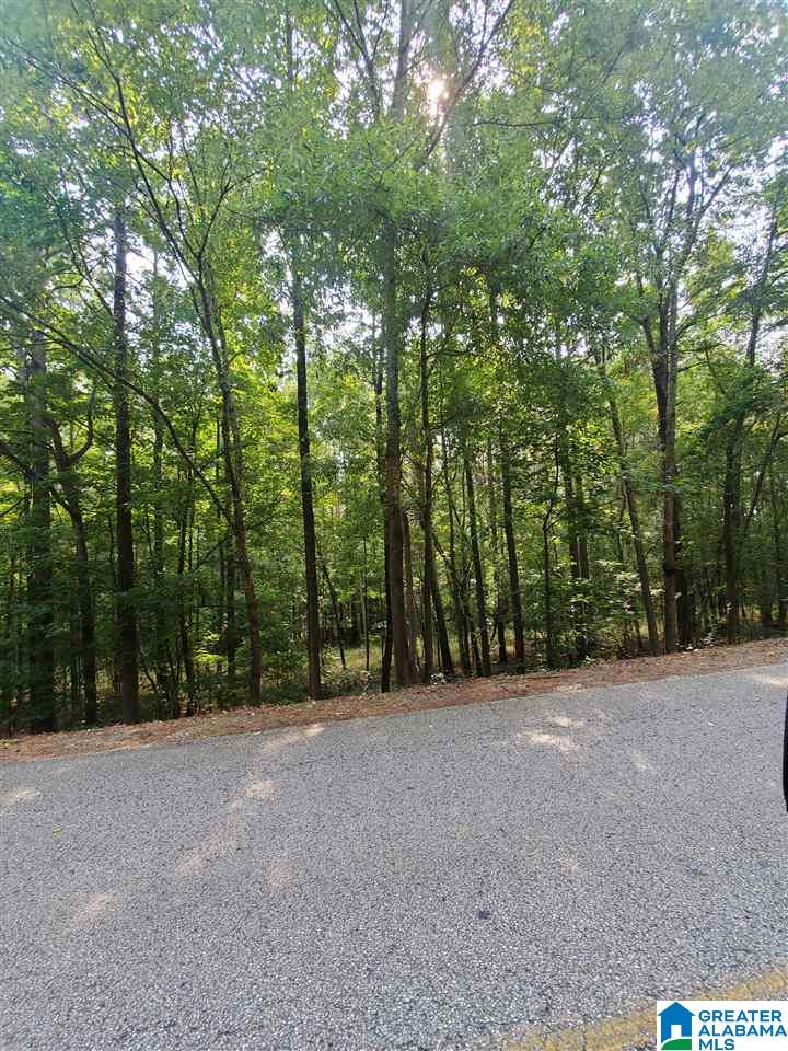 0 Marble Valley Road, Unit 1 Sylacauga, AL 35151 - Photo 1 of 2