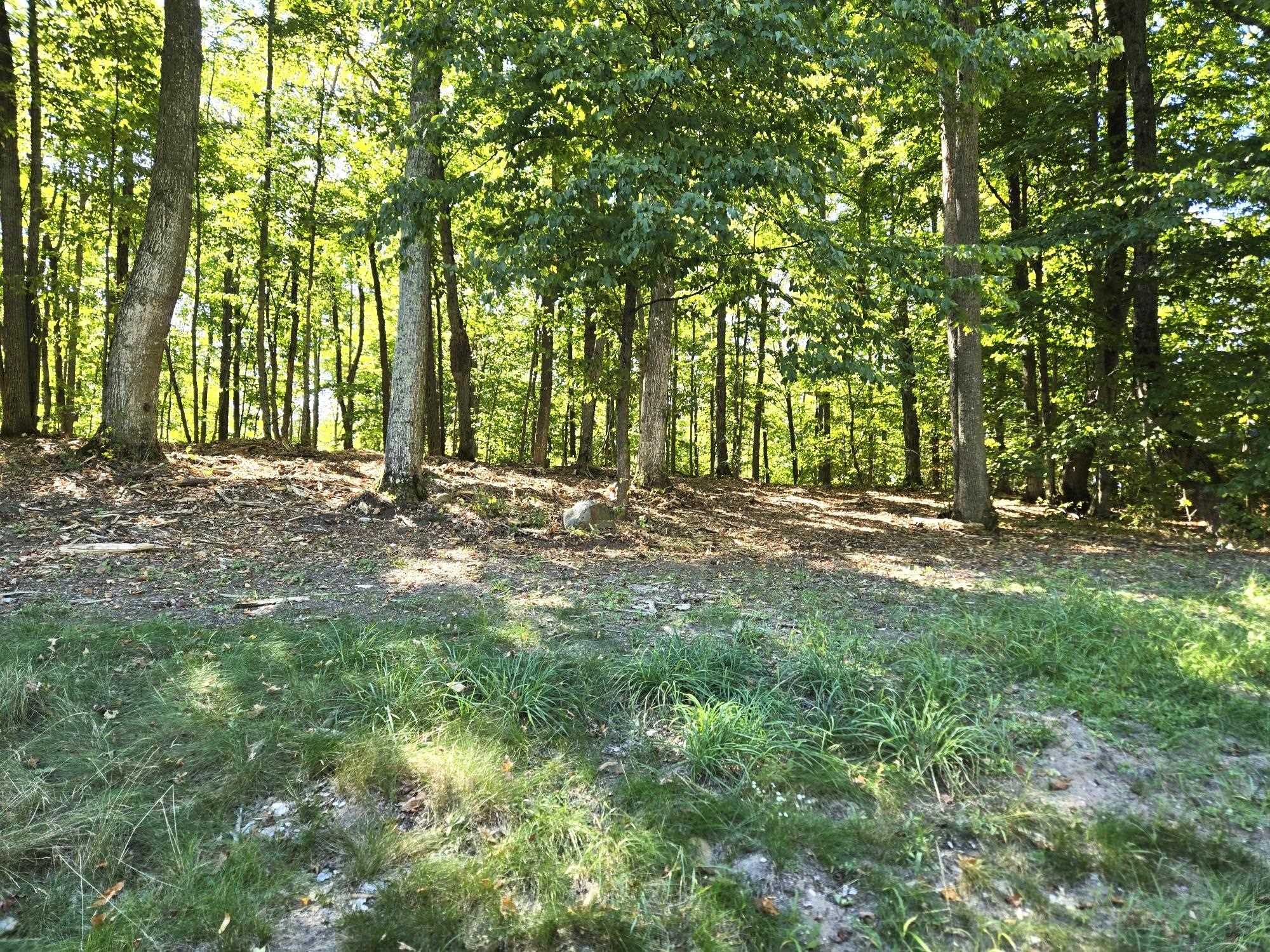 4 Heather Ridge Trail Beulah, MI 49617 - Photo 4 of 10