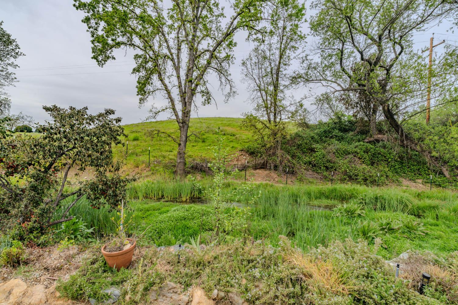 519 Clinton Road Jackson, CA 95642 - Photo 63 of 80 a view of a garden with a fountain