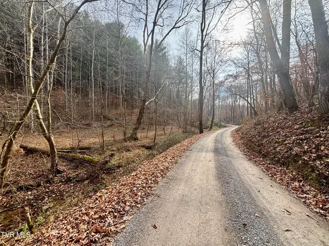 $180,000 | Tbd Yellow Branch Road, Rose Hill, VA 24281