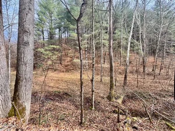 $180,000 | Tbd Yellow Branch Road, Rose Hill, VA 24281